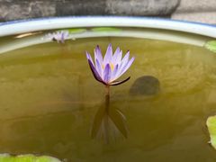 -西安市广仁寺