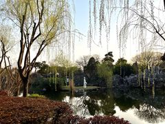 -无锡蠡湖国家湿地公园-蠡园