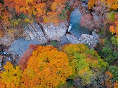 -光雾山旅游景区