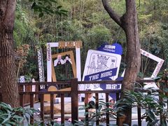 -天目湖涵田半山温泉