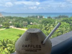 -海南清水湾莱佛士酒店