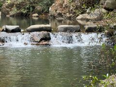 -广州市石门国家森林公园