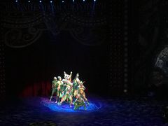 -珠海横琴长隆《卡卡虎奇遇记》