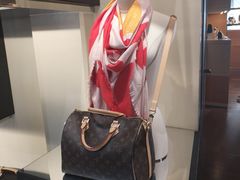 -路易·威登(香榭丽舍大道店)