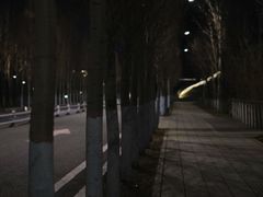 -哈尔滨大剧院