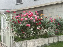 -北京友谊宾馆·俄罗斯餐厅