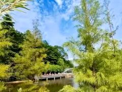 -广州市帽峰山景区