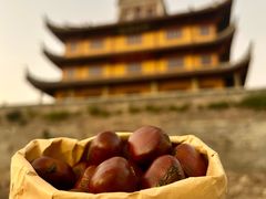 -高记福桂桂花糖炒栗(鼓楼店)