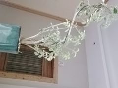 -上座云间·青年赣菜(绿茵店)