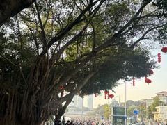 -白城沙滩