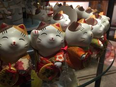 -广东省拱北口岸中国旅行社(华宾营业部)