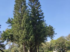 -人民公园(罗湖区)