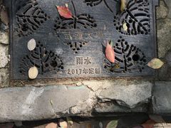 -武汉大学-樱园