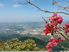 -福建泉州仙公山风景名胜区