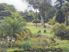 -墨尔本皇家植物园