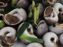 -沈家门小海鲜