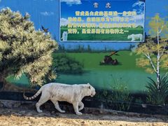 -西霞口神雕山野生动物世界