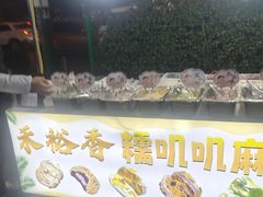 -东北大学(秦皇岛分校)