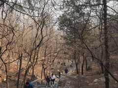 -北京鹫峰国家森林公园
