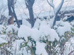-三里河公园