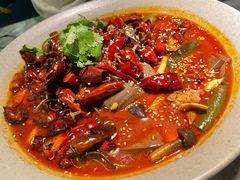 金牌毛血旺-辛香汇·现炒川菜(淮海路百盛店)