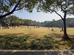 -广州雕塑公园