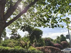 -成都南湖公园