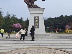 -铁山坪森林公园