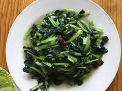 -翕庐小苑