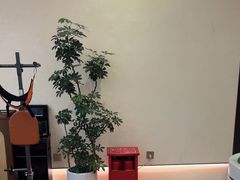 -小仙女采耳·按摩·SPA(深圳旗舰店)