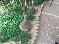 -石家庄市植物园