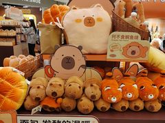 -首开·龙湖成都西宸天街