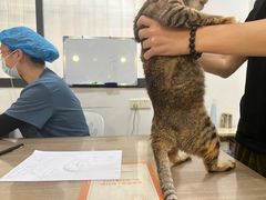 -荔康动物医院(康王北路店)