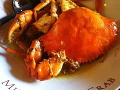 -Ministry of Crab(科伦坡店)