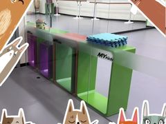 -美育少儿中国舞·钢琴·声乐艺术中心(枫蓝购物中心店)