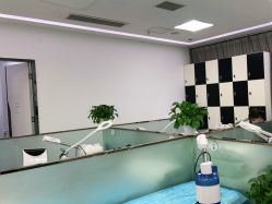 点击看大图 -悟空祛痘·亚健康皮肤管理中心