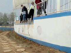 -洛阳郁金香牡丹园