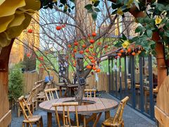 -长白岛森林公园