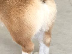 -汪说·狗咖(旺城大厦店)