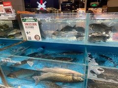 水产区-盒马鲜生(龙德广场店)