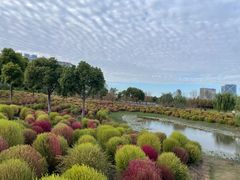 -春花秋色城市公园