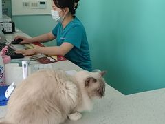 -美迦爱-牙专科·兔科·骨科诊疗中心(北苑店)