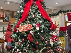-知物癖(牛王庙店)