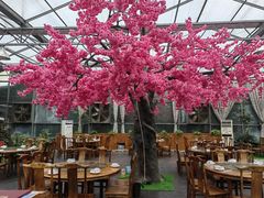 -老磨油饼(高陵店)