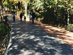 -大兴滨河森林公园