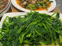 清炒豌豆尖-灯盏窝餐厅