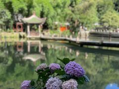 -黔灵山公园