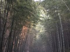 -苏州环秀晓筑养生度假村