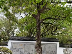-上海醉白池公园