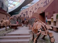 -陕西自然博物馆